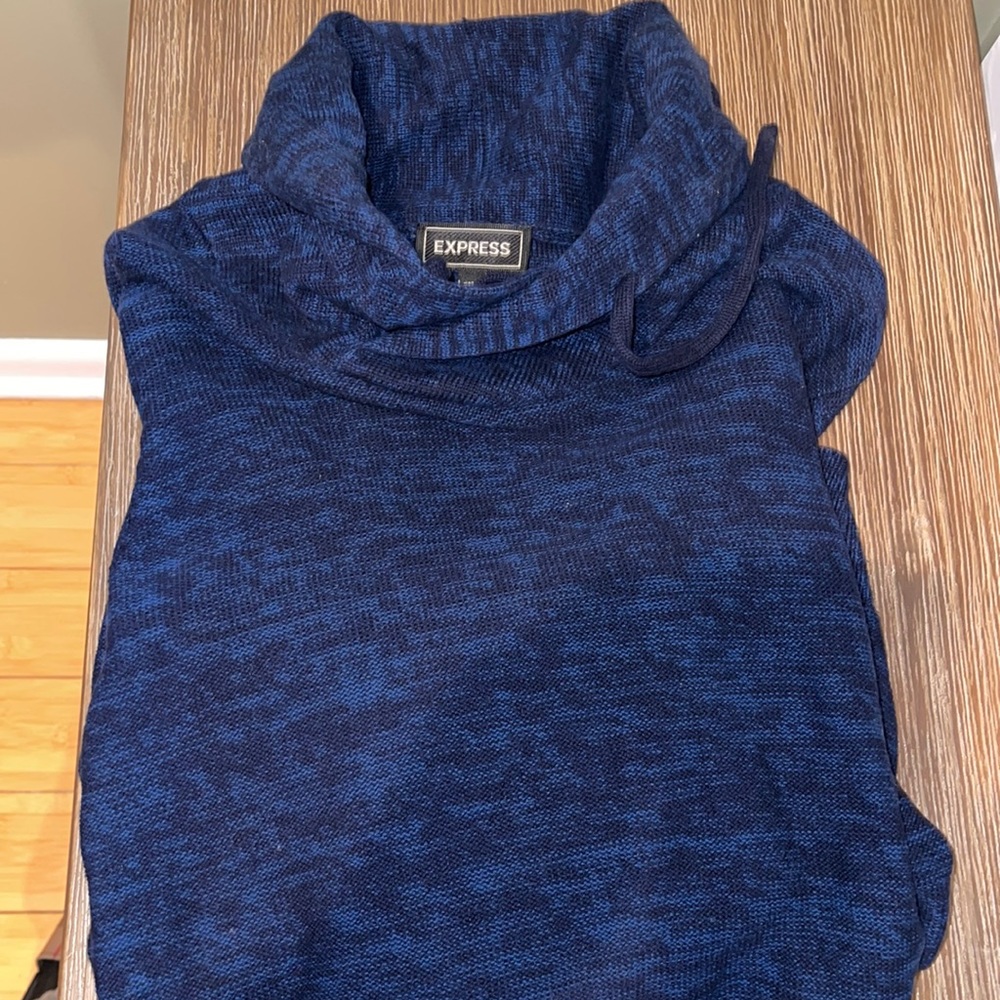 Express turtleneck